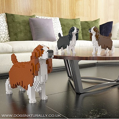 English Springer Spaniel Jekca Available in 3 Colours & 2 Sizes